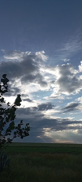 美丽的天际线与树木和景观图片下载