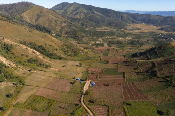 摘要照片的道路通过五颜六色的田野在山坡上，嘉莱省图片下载