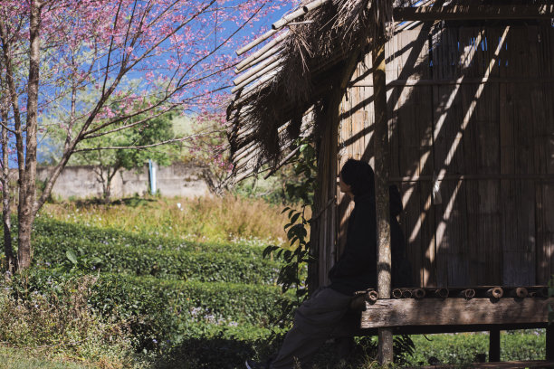 旅行和工作的概念，独自自由职业者坐在小屋下的樱花树和放松层山的背景图片下载
