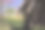 旅行和工作的概念，独自自由职业者坐在小屋下的樱花树和放松层山的背景图片下载