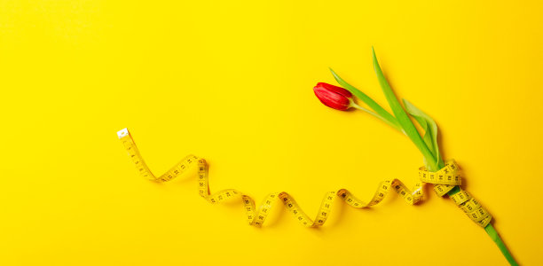 一个红色的郁金香和厘米胶带在黄色的背景与复制空间文本的地方。健身贺卡。国际妇女节或母亲节。缝纫工艺品爱好店。花店。减肥图片下载