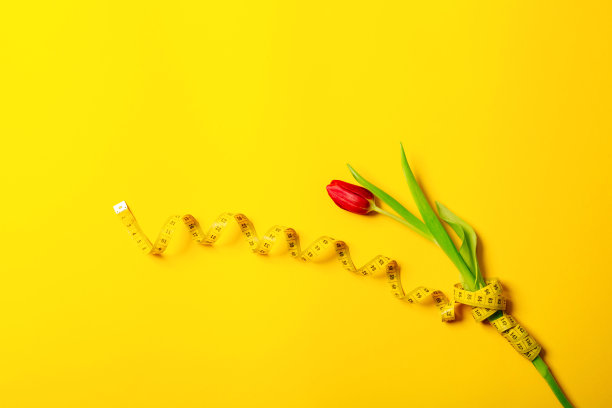 一个红色的郁金香和厘米胶带在黄色的背景与复制空间文本的地方。健身贺卡。国际妇女节或母亲节。缝纫工艺品爱好店。花店。减肥图片下载
