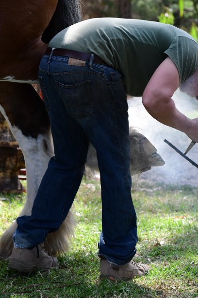 在克莱兹代尔马上干活的蹄铁匠图片下载