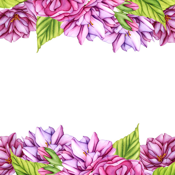 装饰淡粉色樱花花架。水彩植物插图日本樱花在春天。手绘花蕾，花瓣樱花图片下载