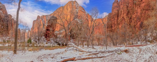 犹他州锡安国家公园冬天下雪的全景照片图片下载