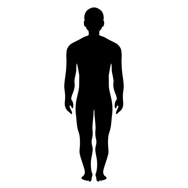人体矢量轮廓图片下载
