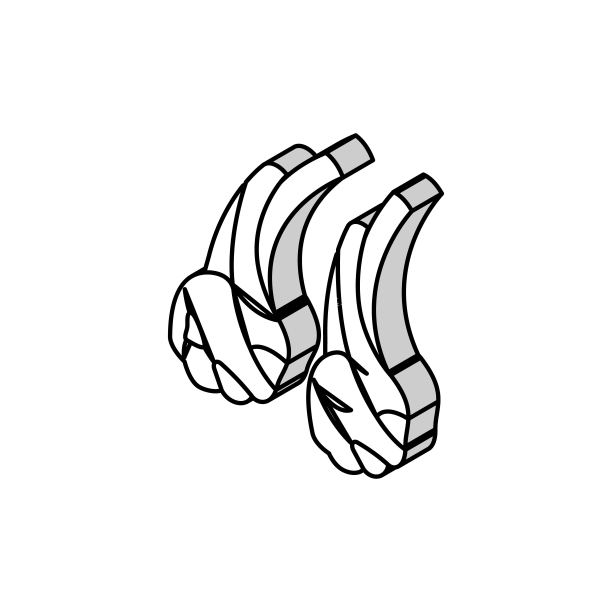 羊肉等距矢量图标说明图片下载