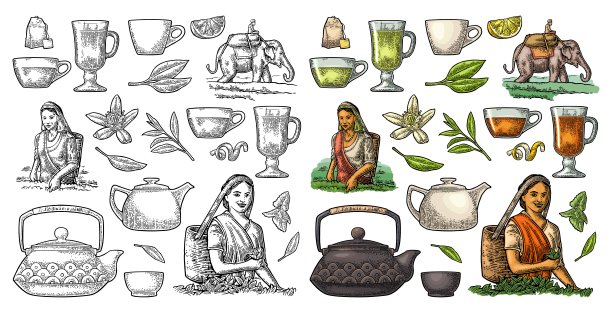 女采茶者收割茶叶，骑在大象上，柠檬，杯子。图片下载