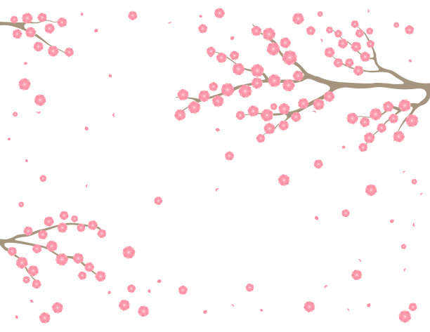 春暖花开，树枝在绽放的背景图片下载