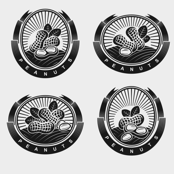 花生标签和图标集。收集花生坚果图标。向量图片下载