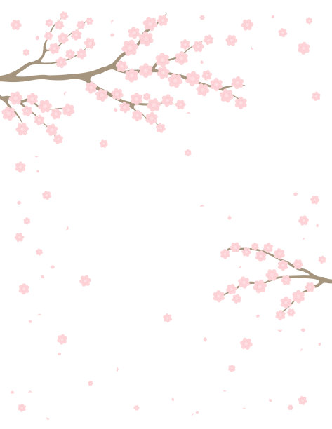 春暖花开，树枝在绽放的背景图片下载