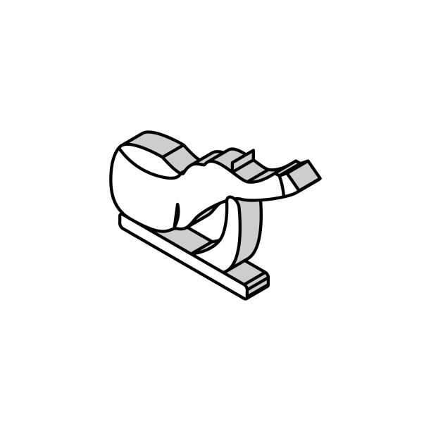 火腿腿肉等距矢量图标说明图片下载