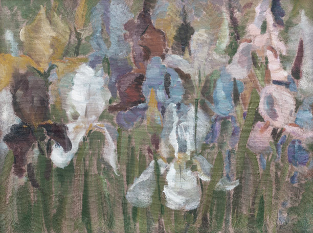 插画油画风景花鸢尾花盛开在花坛上图片下载