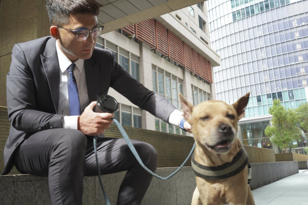 带宠物旅行。和宠物一起散步、上下班和购物图片下载