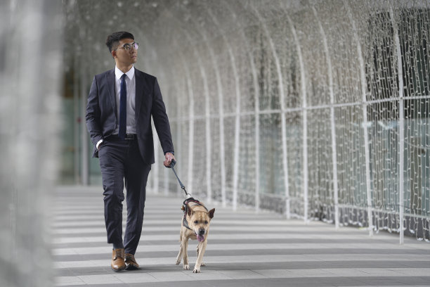 带宠物旅行。和宠物一起散步、上下班和购物图片下载