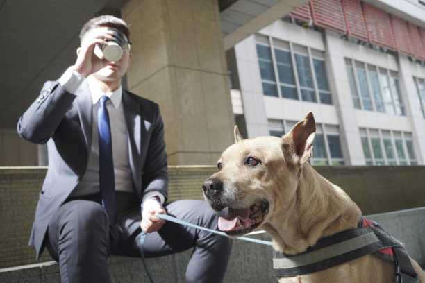 带宠物旅行。和宠物一起散步、上下班和购物图片下载