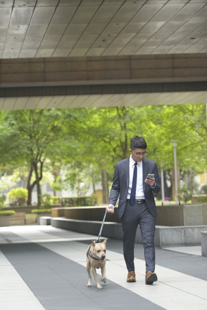 带宠物旅行。和宠物一起散步、上下班和购物图片下载