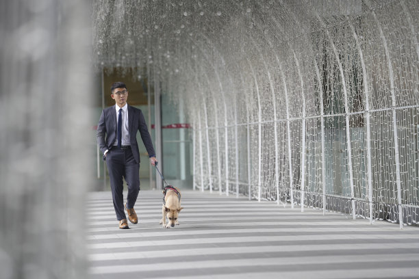 带宠物旅行。和宠物一起散步、上下班和购物图片下载