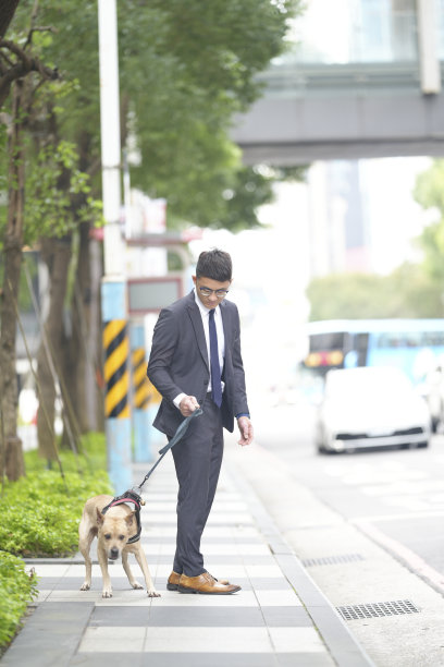 带宠物旅行。和宠物一起散步、上下班和购物图片下载