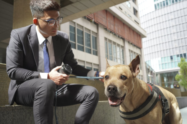 带宠物旅行。和宠物一起散步、上下班和购物图片下载