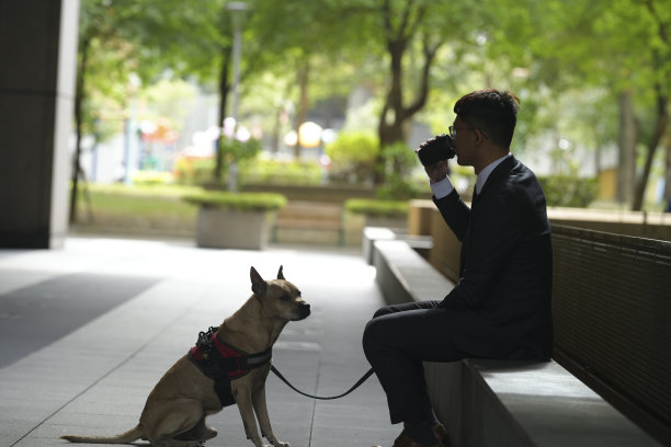 带宠物旅行。和宠物一起散步、上下班和购物图片下载