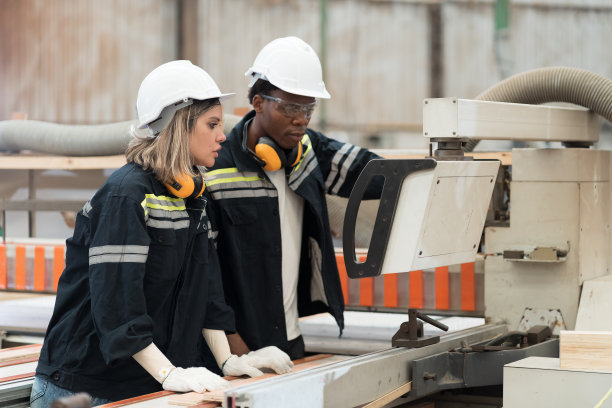 男女工程师控制，维护和检查木材储存厂的机器质量。仓库和工厂概念图片下载