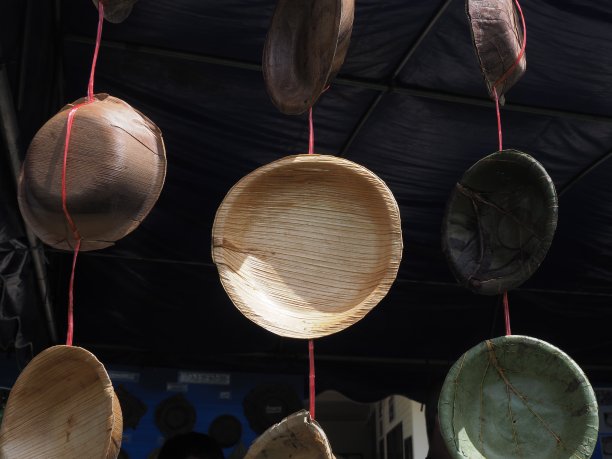 绿色板叶主题使全球变暖图片下载