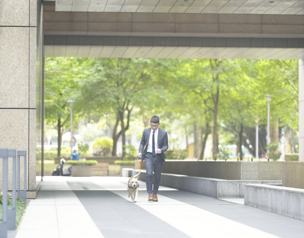 带宠物旅行。和宠物一起散步、上下班和购物图片下载