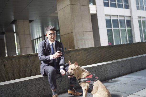 带宠物旅行。和宠物一起散步、上下班和购物图片下载