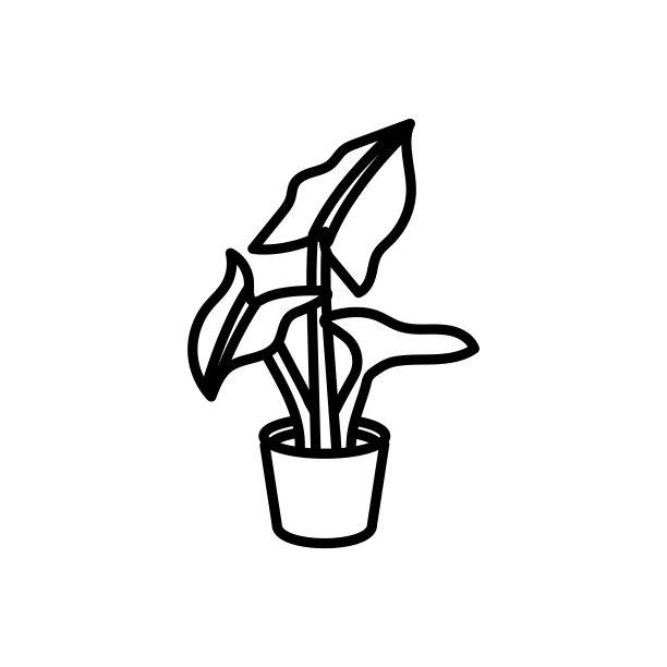 海芋植物矢量图标图片下载