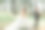 新娘和新郎手牵手穿过森林。幸福的夫妻。婚礼的照片。一对热恋中的情侣。高大的树木，广角照片。完美的光图片下载