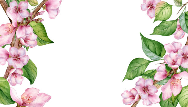 水彩花卉板与粉红色开花枝孤立在白色。设计模板花框架与粉红色白色的花手绘。用于婚礼请柬、卡片、包装、标签等产品的元素图片下载