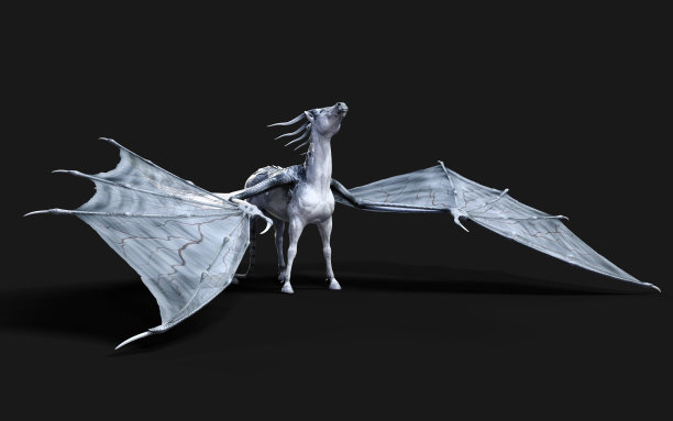 魔马之翼。图片下载