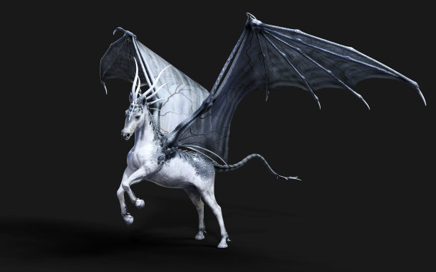 魔马之翼。图片下载