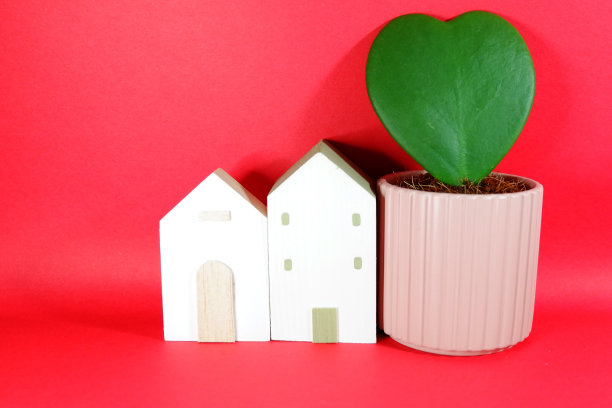 情人节的概念:心形的仙人掌在粉红色的陶瓷花盆和木制的小房子建筑模拟室内装饰在红色背景水平复制空间库存照片图片下载
