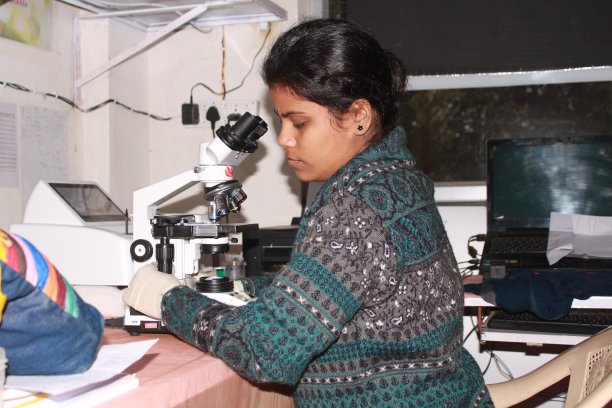 病理学家女士用显微镜检查。印度图片下载