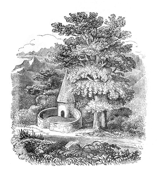 威尔士猪圈或威尔士猪，农田里的旧猪圈，手绘复古猪圈插画，复古树木海报图片下载