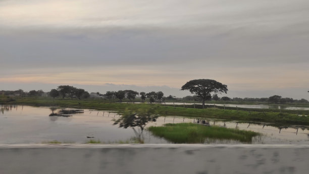 在有鱼池的公路交叉口村旁的鱼池景观图片下载