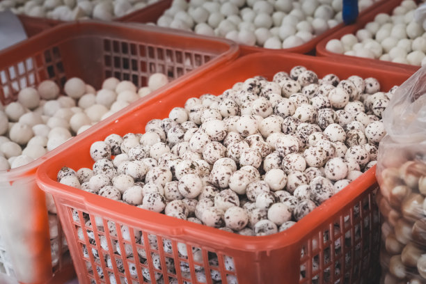 在乌兹别克斯坦撒马尔罕古城Siyob bozor的Siab集市上的乳制品库图片下载