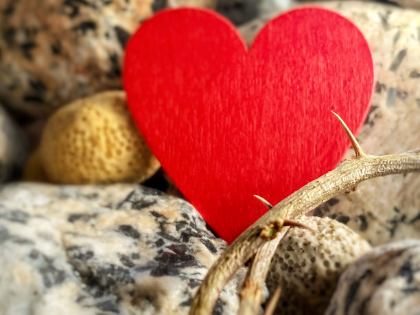 庆祝活动-四旬斋图片下载