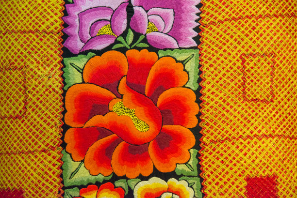 来自瓦哈卡州和特万特佩克地峡的彩色手工刺绣图片下载