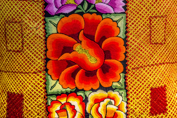 来自瓦哈卡州和特万特佩克地峡的彩色手工刺绣图片下载