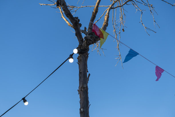 夕阳下的夏日花园，五颜六色的彩旗和小灯泡组成的花环，背景是蓝天和树木。生日派对快乐。户外用纸装饰节日。图片下载