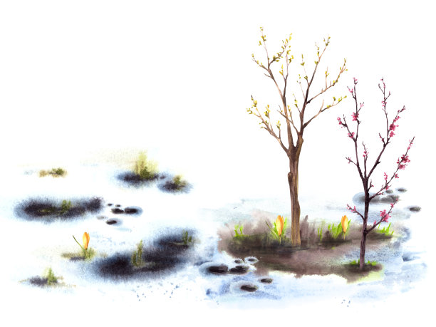 初生花朵，春暖花开的大树，融化的雪花手绘水彩山水插画图片下载