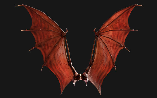 红色飞狐的翅膀孤立在黑色背景上。幻想的动物。图片下载