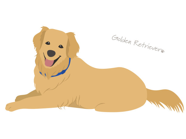 金毛猎犬图片下载