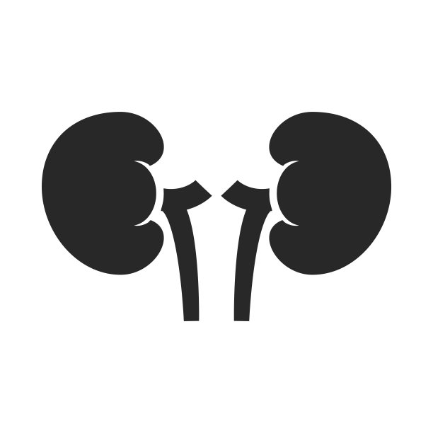 向量肾图标向量。泌尿外科标志设计模板图片下载