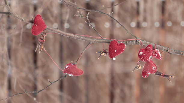 情人节抽象装饰：爱心花环背景素材图片下载