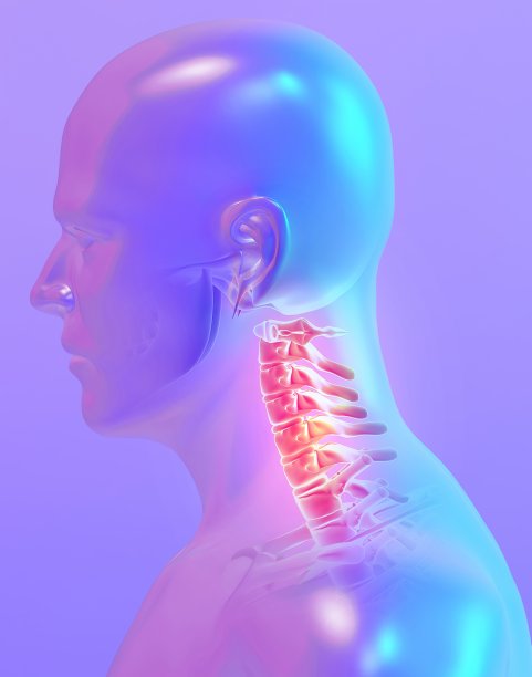 颈部疼痛骨骼x光片，3D插图。图片下载