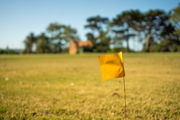 高尔夫球场上的小黄旗图片下载